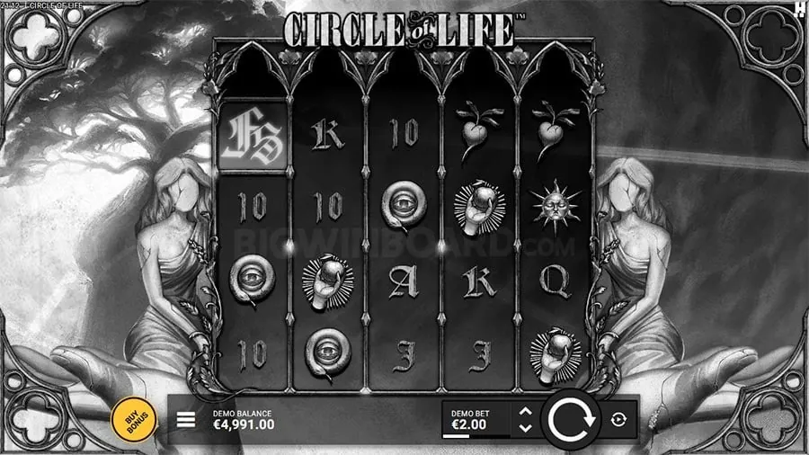 Live Baccarat Strategy Guide